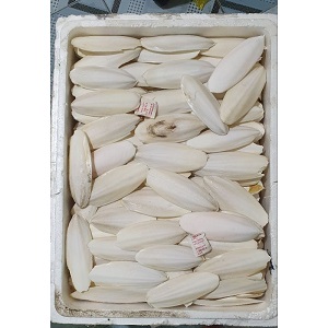 Nang mực khô uy tín tại Tấn Phát
