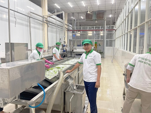 Quy trình sản xuất bột hành tây của Tấn Phát