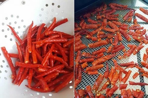 Sỉ bột ớt khô