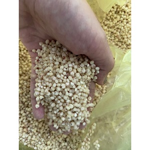 Hạt dinh dưỡng giá rẻ tại TP.HCM
