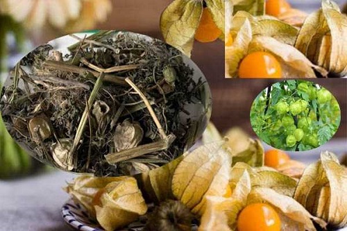 Sản phẩm từ thiên chăm sóc sức khỏe