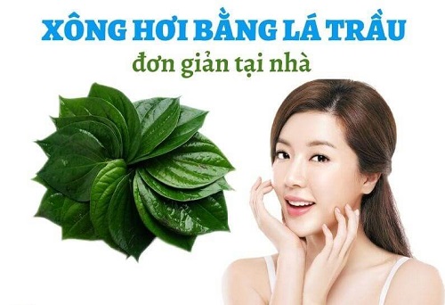 Xông lá trầu an toàn, hiệu quả tại nhà