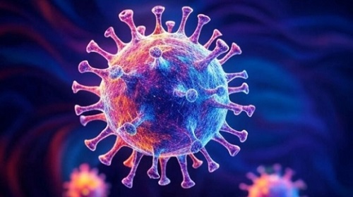 Virus HMPV