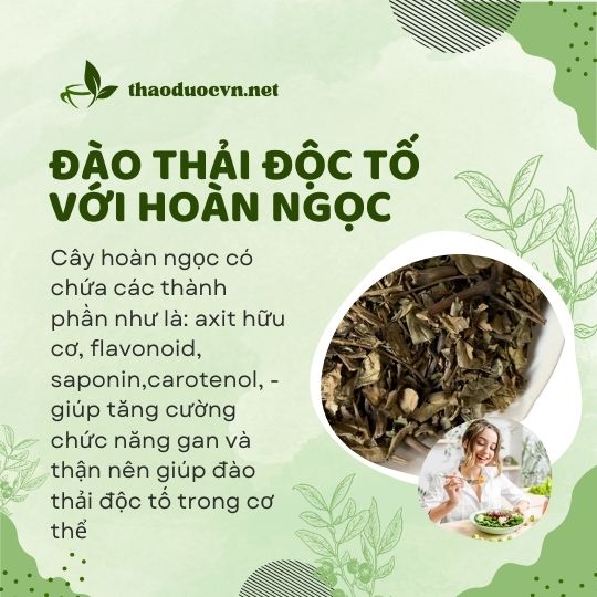 Đào thải độc tố với hoàn ngọc giá rẻ tại Tân Bình