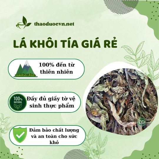 Tấn Phát là địa chỉ bán lá khôi tía giá rẻ tại TP.Thủ Đức uy tín