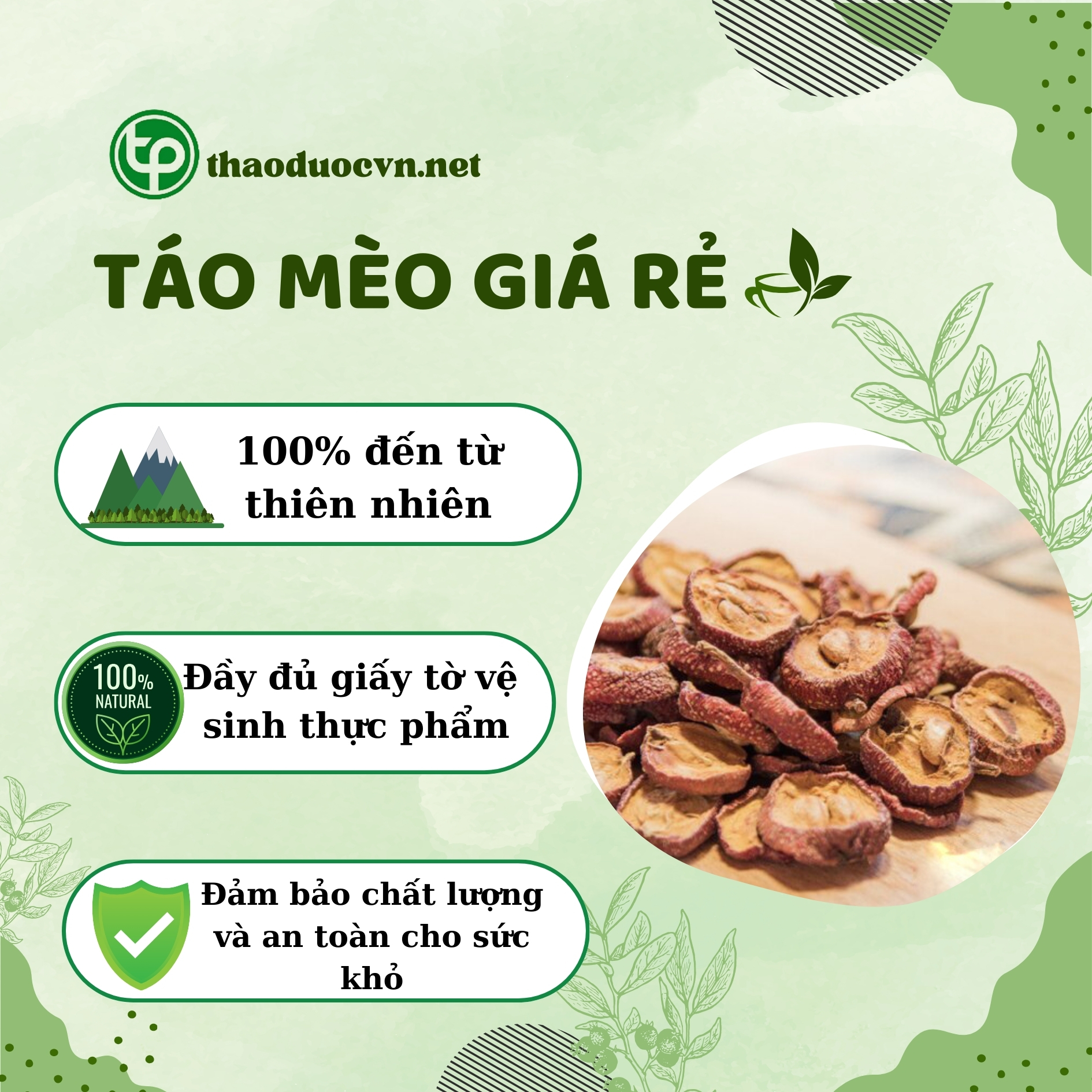 Chính sách khi mua táo mèo giá rẻ Tấn Phát