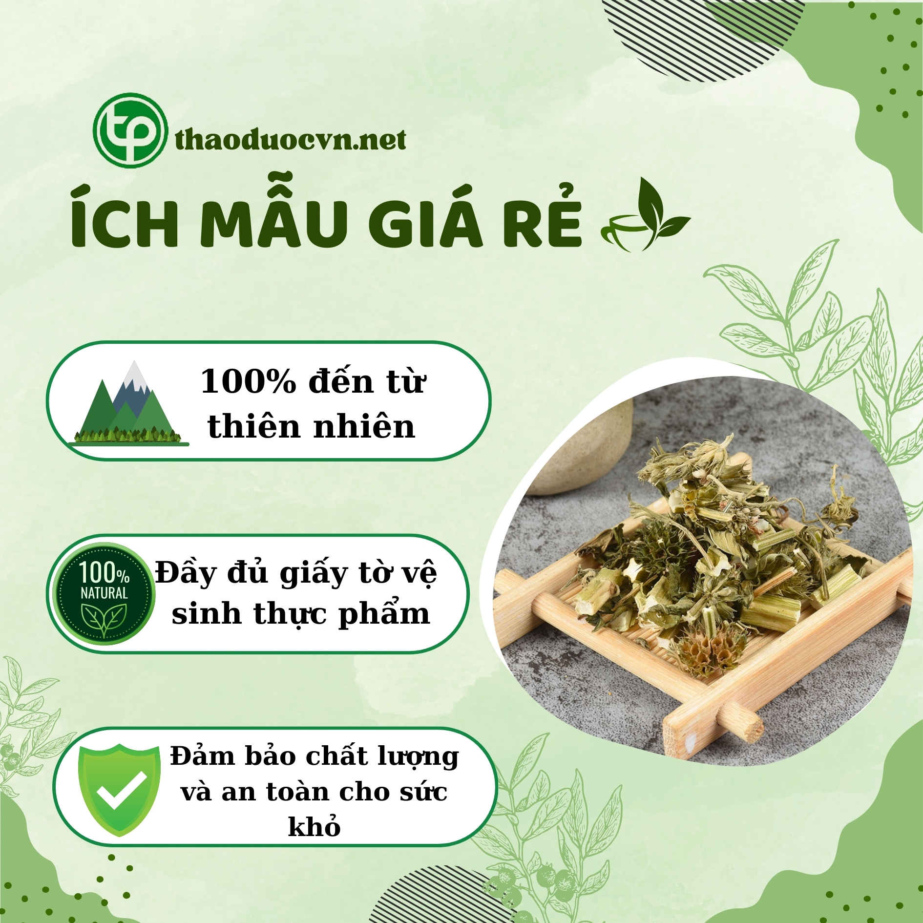 Chính sách khi mua ích mẫu giá rẻ Tấn Phát