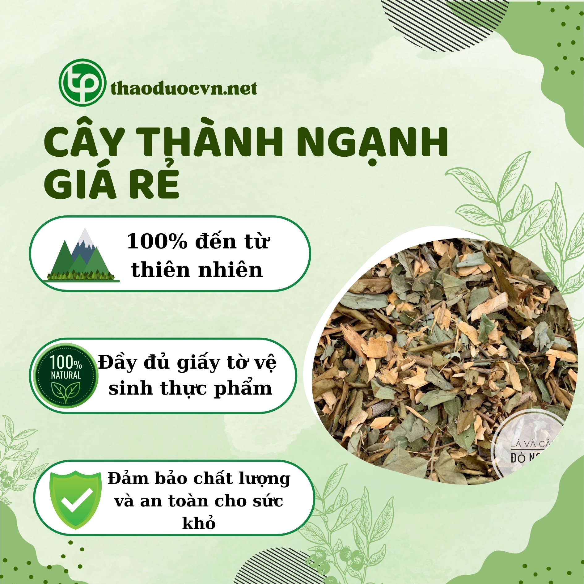 Cam kết khi mua cây thành ngạnh giá rẻ tại TP.HCM ở Tấn Phát