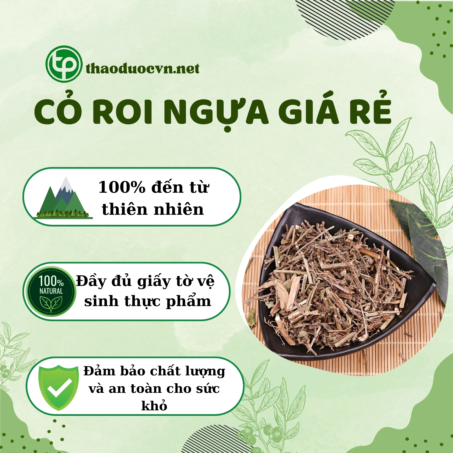 Lợi ích khi mua cỏ roi ngựa giá rẻ Tấn Phát