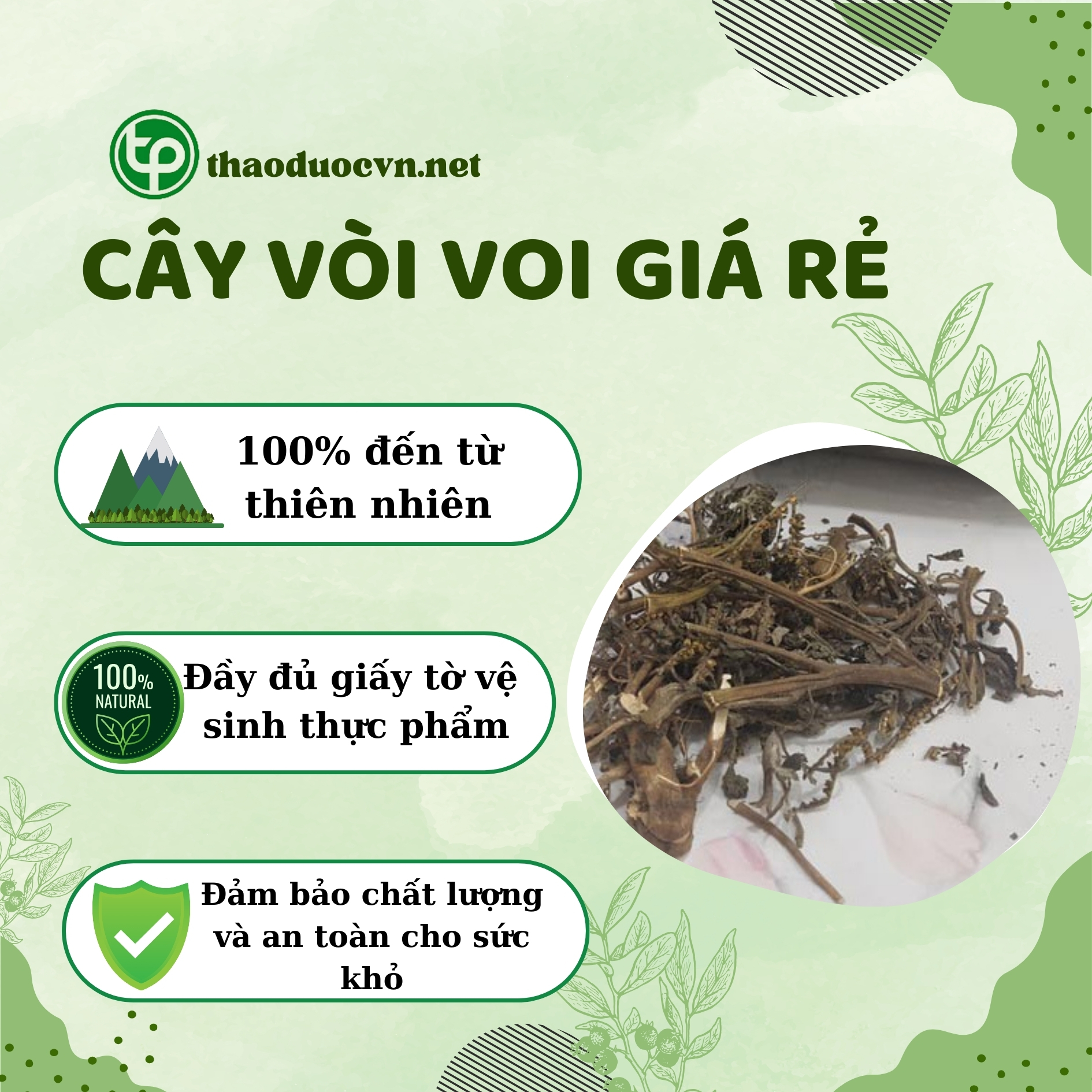 Mua cây vòi voi giá rẻ tại TP.HCM ở Tấn Phát