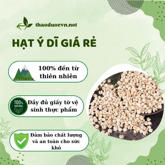 Địa chỉ bán hạt ý dĩ giá rẻ tại Phú Nhuận ở đâu ?