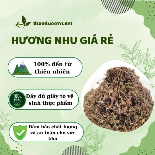 Địa chỉ bán hương nhu giá rẻ tại Quận 5 ở đâu ?