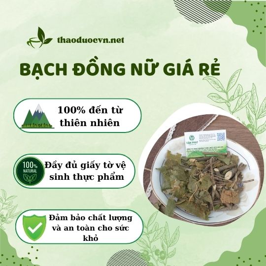 Mua bạch đồng nữ giá rẻ tại Bình Thạnh ở đâu ?