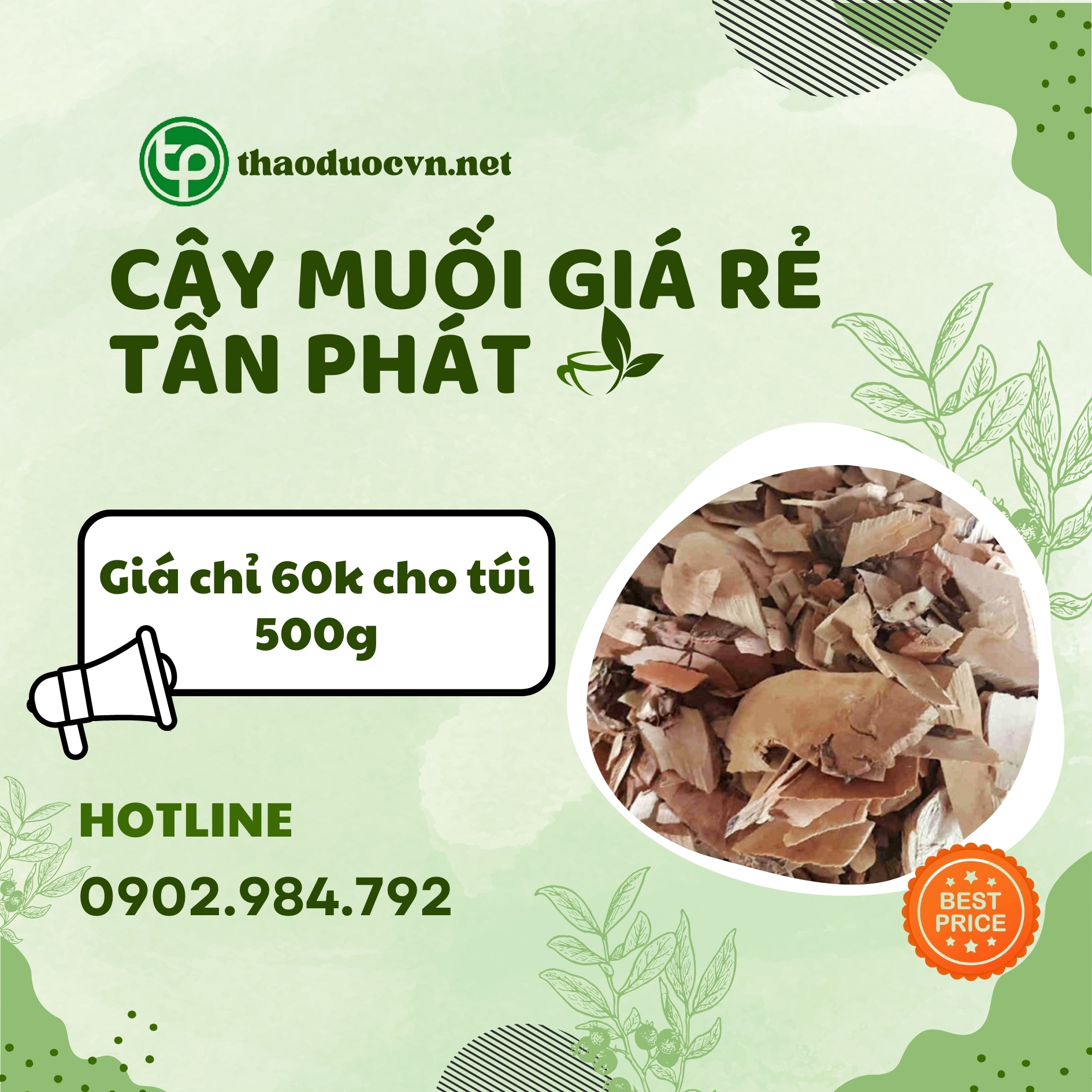 Sản phẩm cây muối giá rẻ tại Tấn Phát