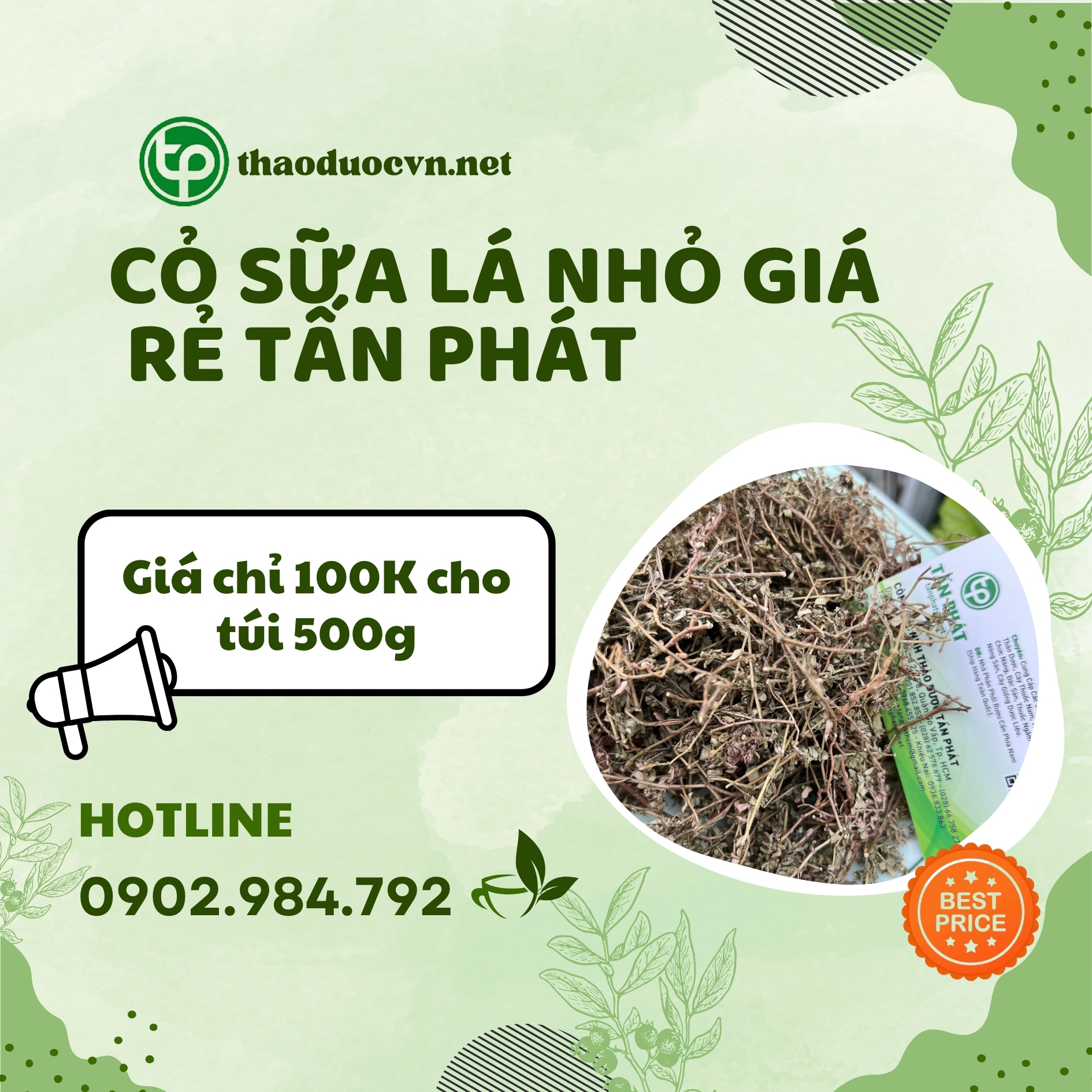 Sản phẩm cỏ sữa lá nhỏ giá rẻ Tấn Phát