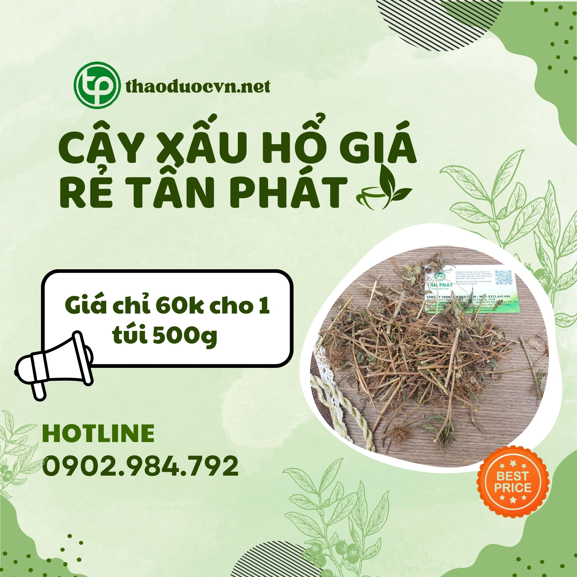 Mua ngay cây xấu hổ giá rẻ ở Tấn Phát
