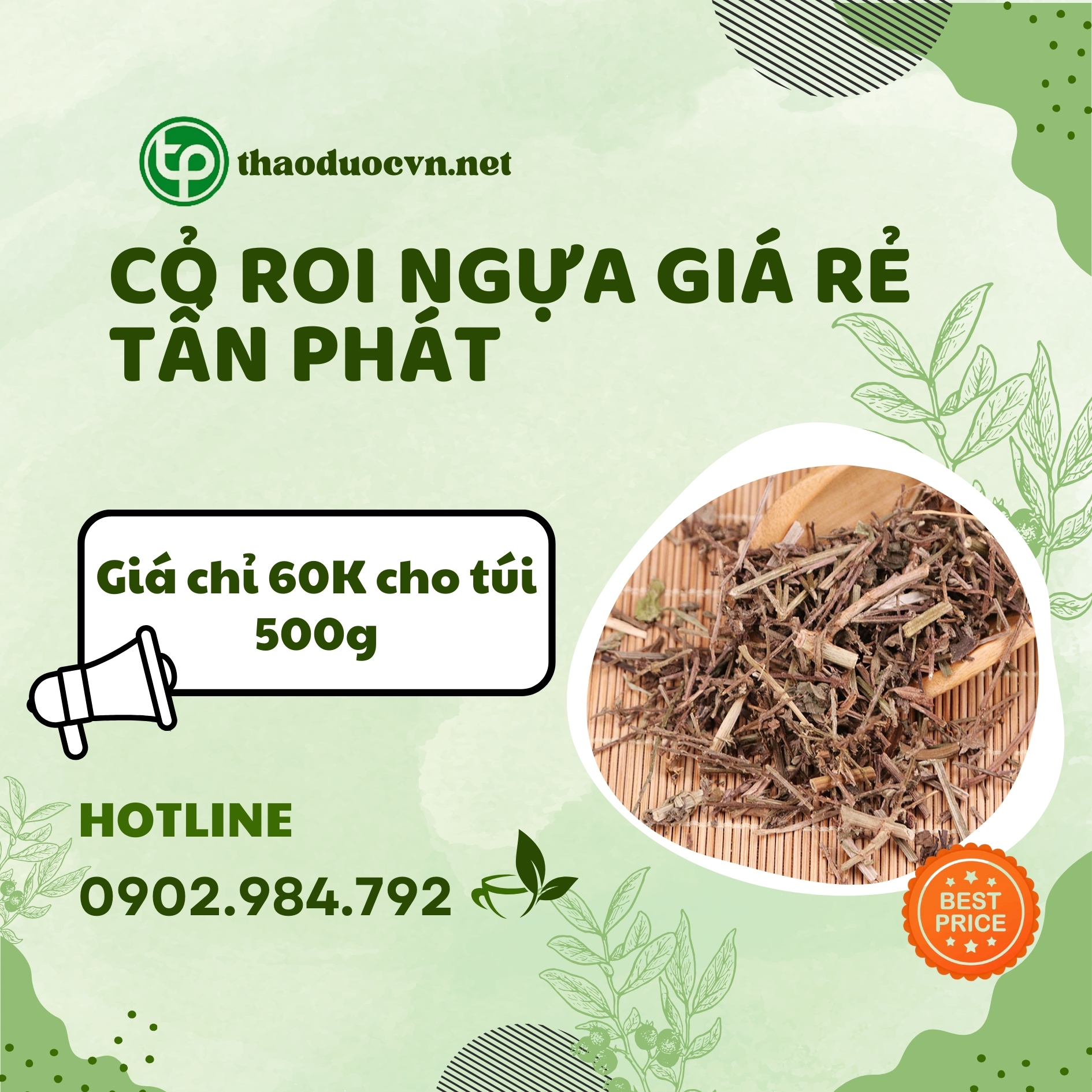 Sản phẩm cỏ roi ngựa giá rẻ tại Tấn Phát