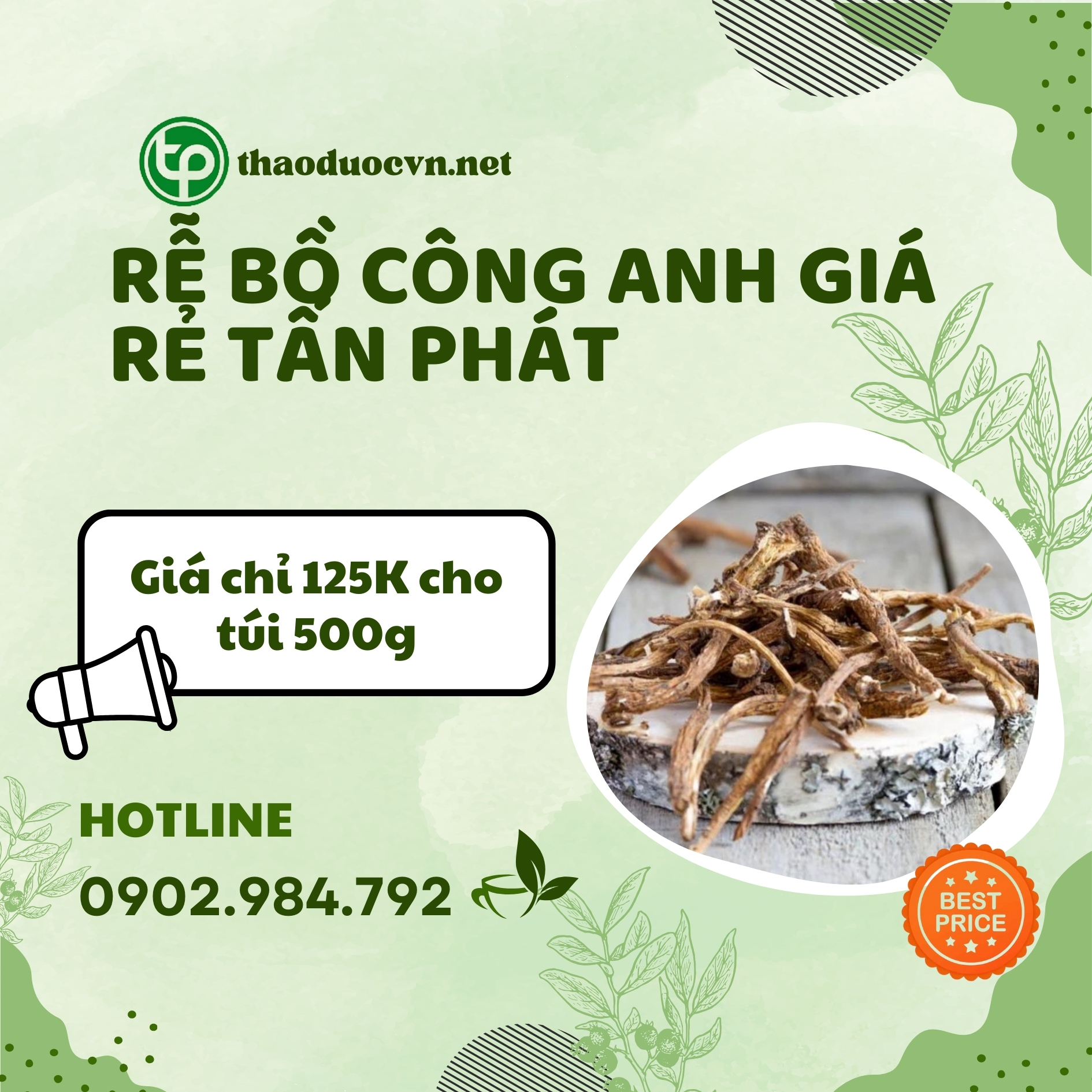 Sản phẩm rễ bồ công anh giá rẻ Tấn Phát