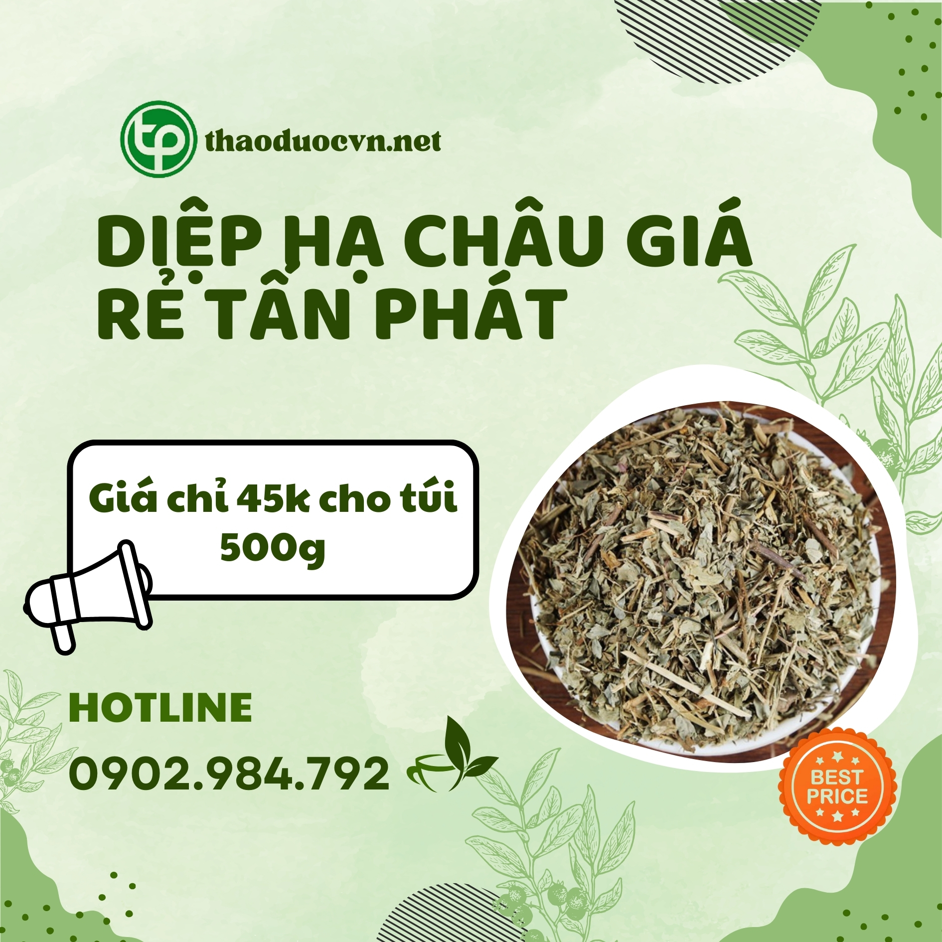 Sản phẩm diệp hạ châu giá rẻ Tấn Phát