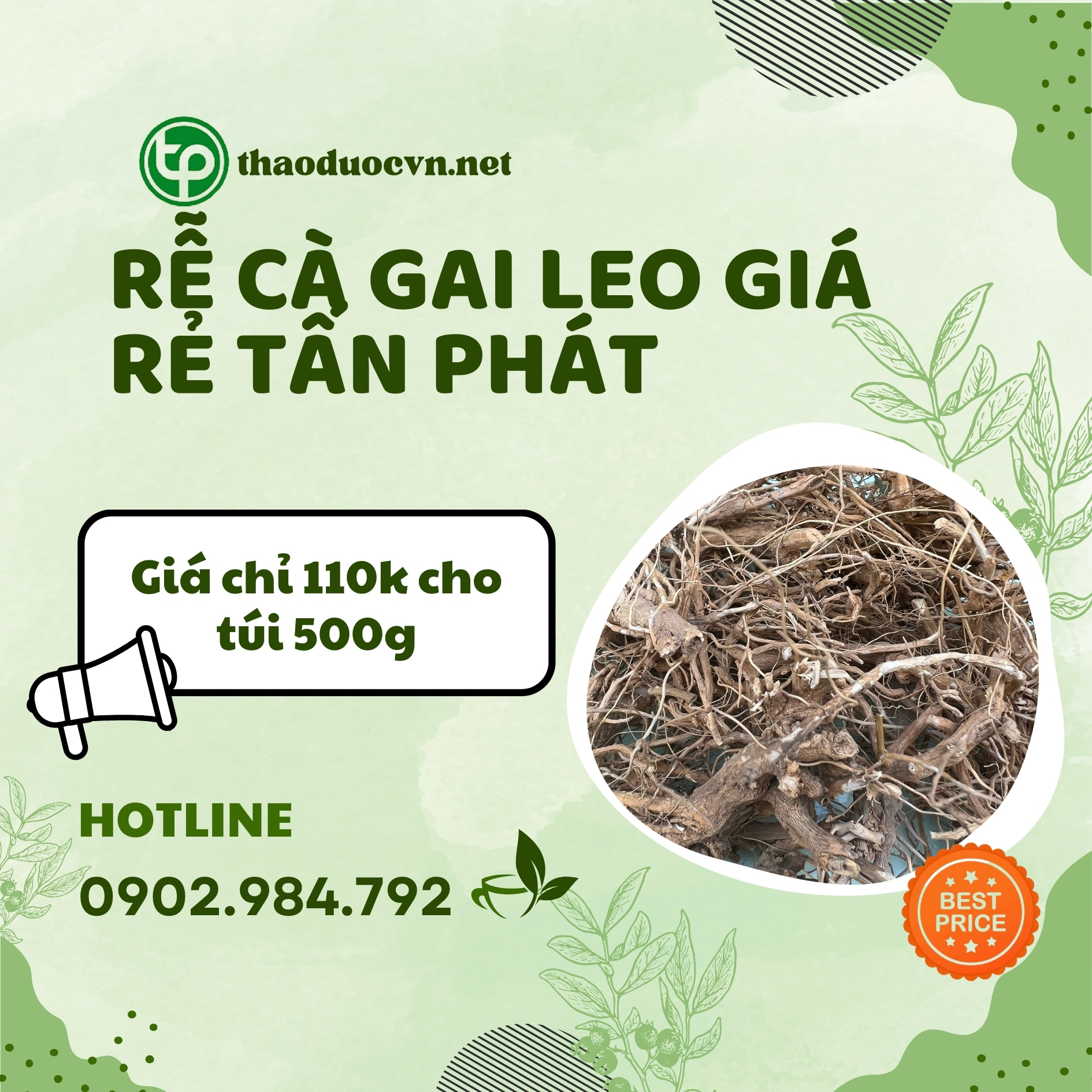 Mua ngay rễ cà gai leo giá rẻ Tấn Phát