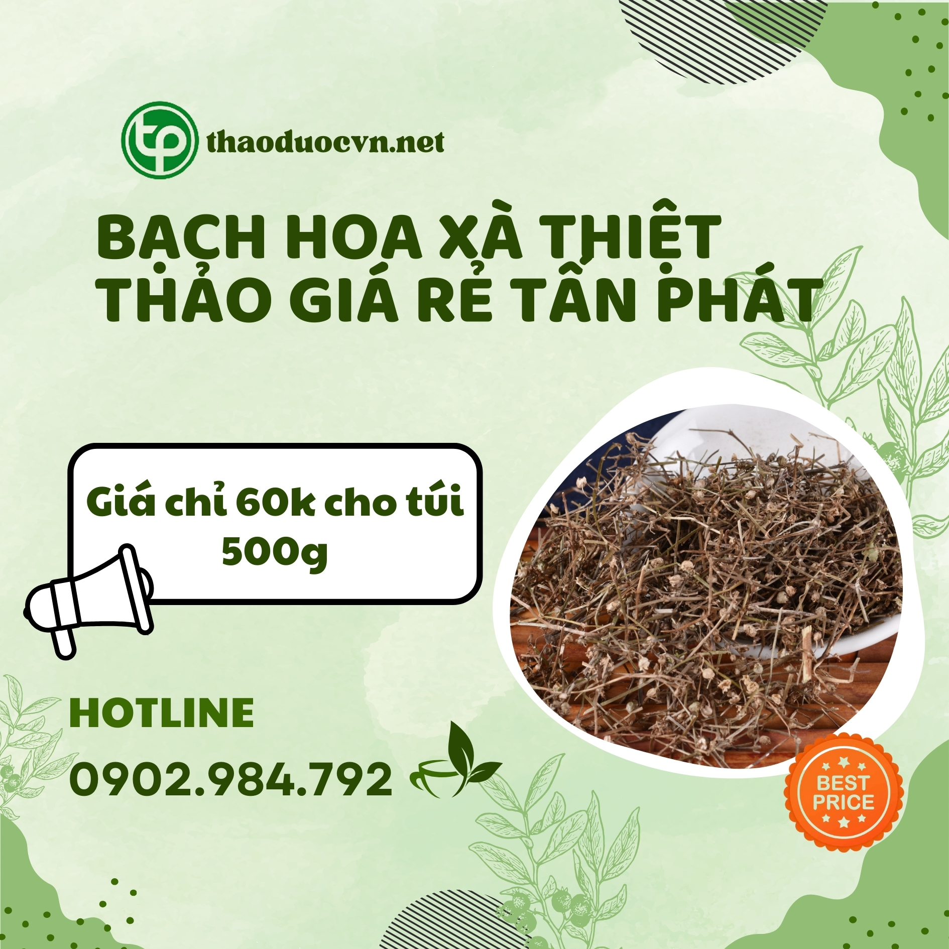 Sản phẩm bạch hoa xà thiệt thảo giá rẻ Tấn Phát