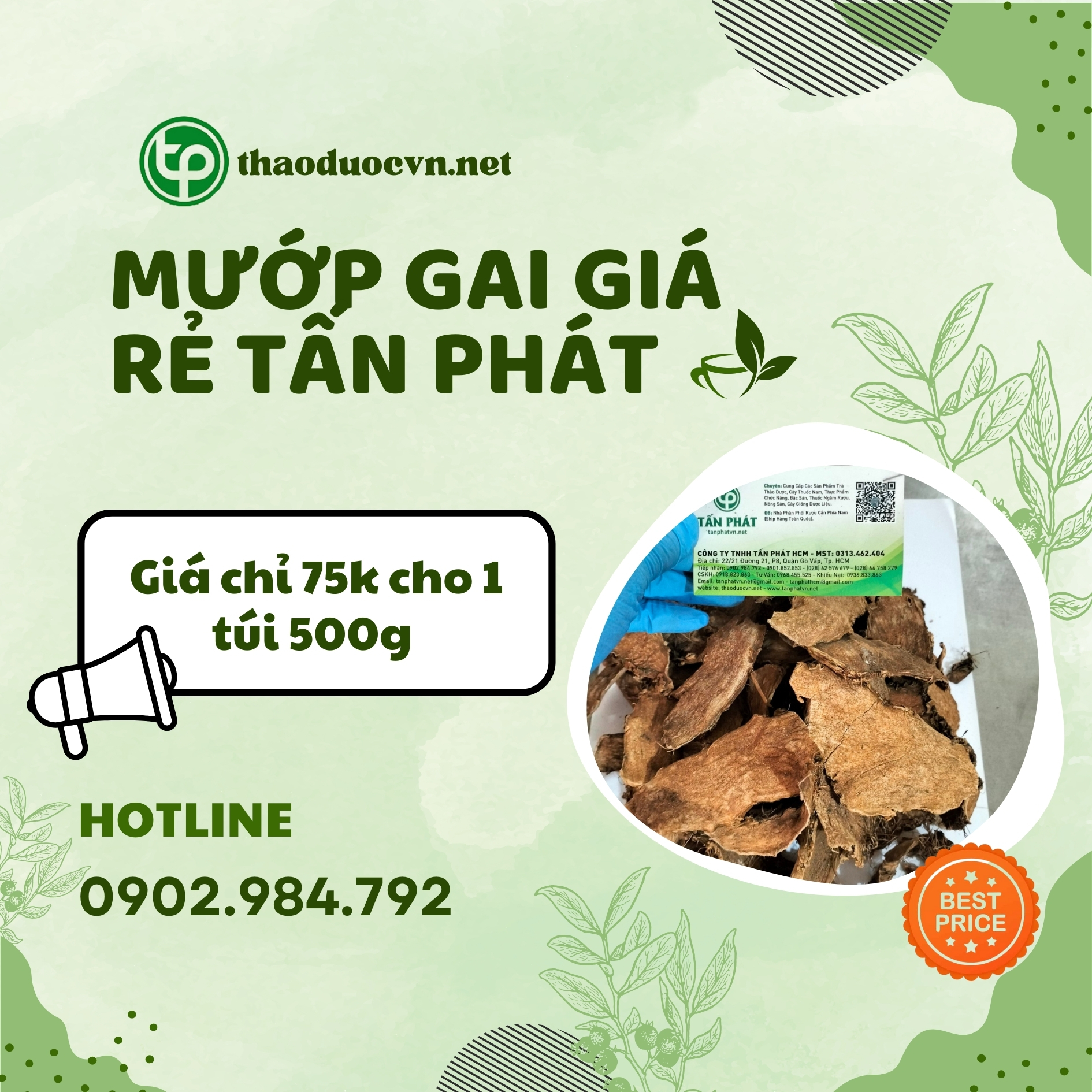 Sản phẩm mướp gai giá rẻ ở Tấn Phát