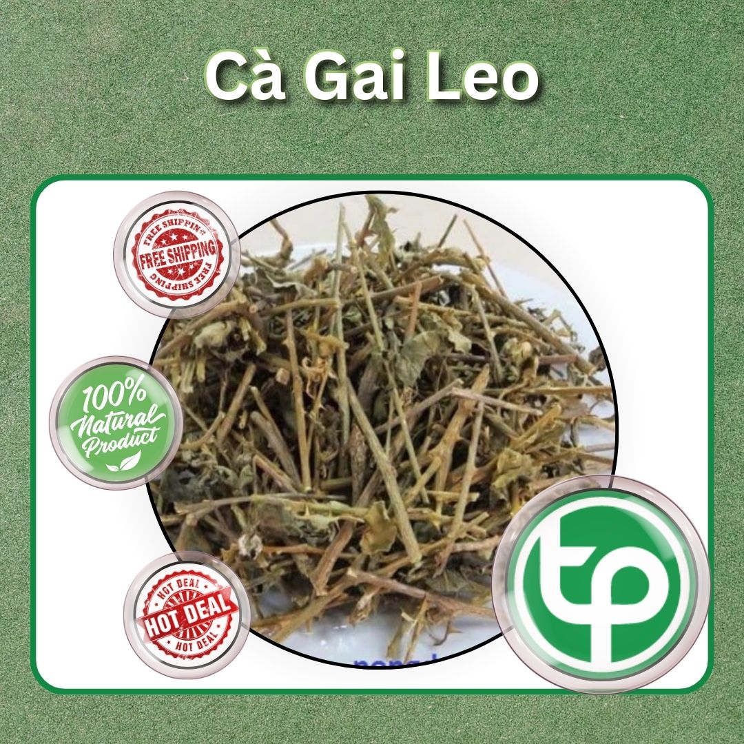 Mua cà gai leo giá rẻ tại Quận 1 ở Tấn Phát