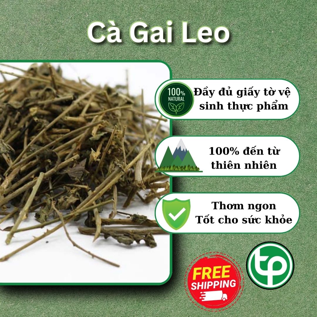 Địa chỉ bán cà gai leo giá rẻ tại Quận 1 ở đâu ?