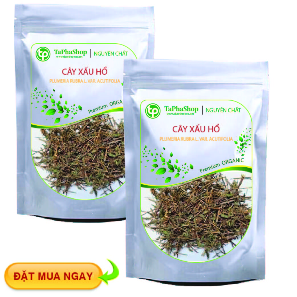 Tấn Phát là địa chỉ bán cây xấu hổ giá rẻ uy tín
