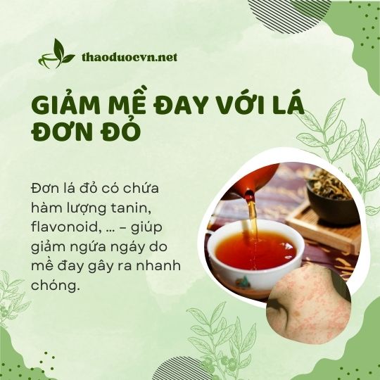 Giảm mề đay với đơn lá đỏ giá rẻ tại Gò Vấp