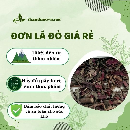 Địa chỉ bán đơn lá đỏ giá rẻ tại Gò Vấp ở đâu uy tín ?