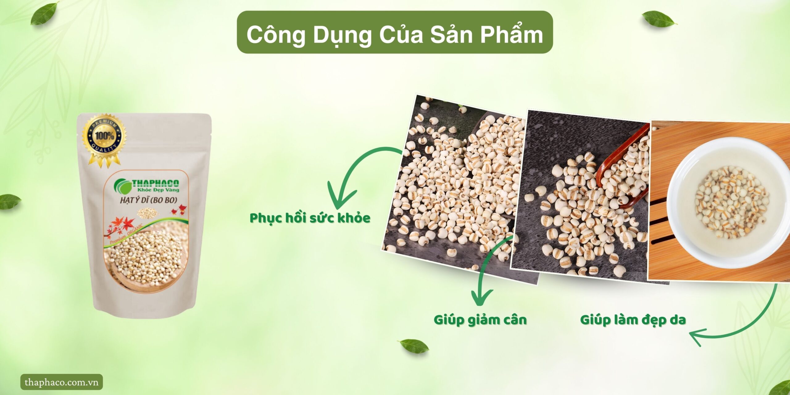 Công dụng hạt ý dĩ giá rẻ tại Phú Nhuận