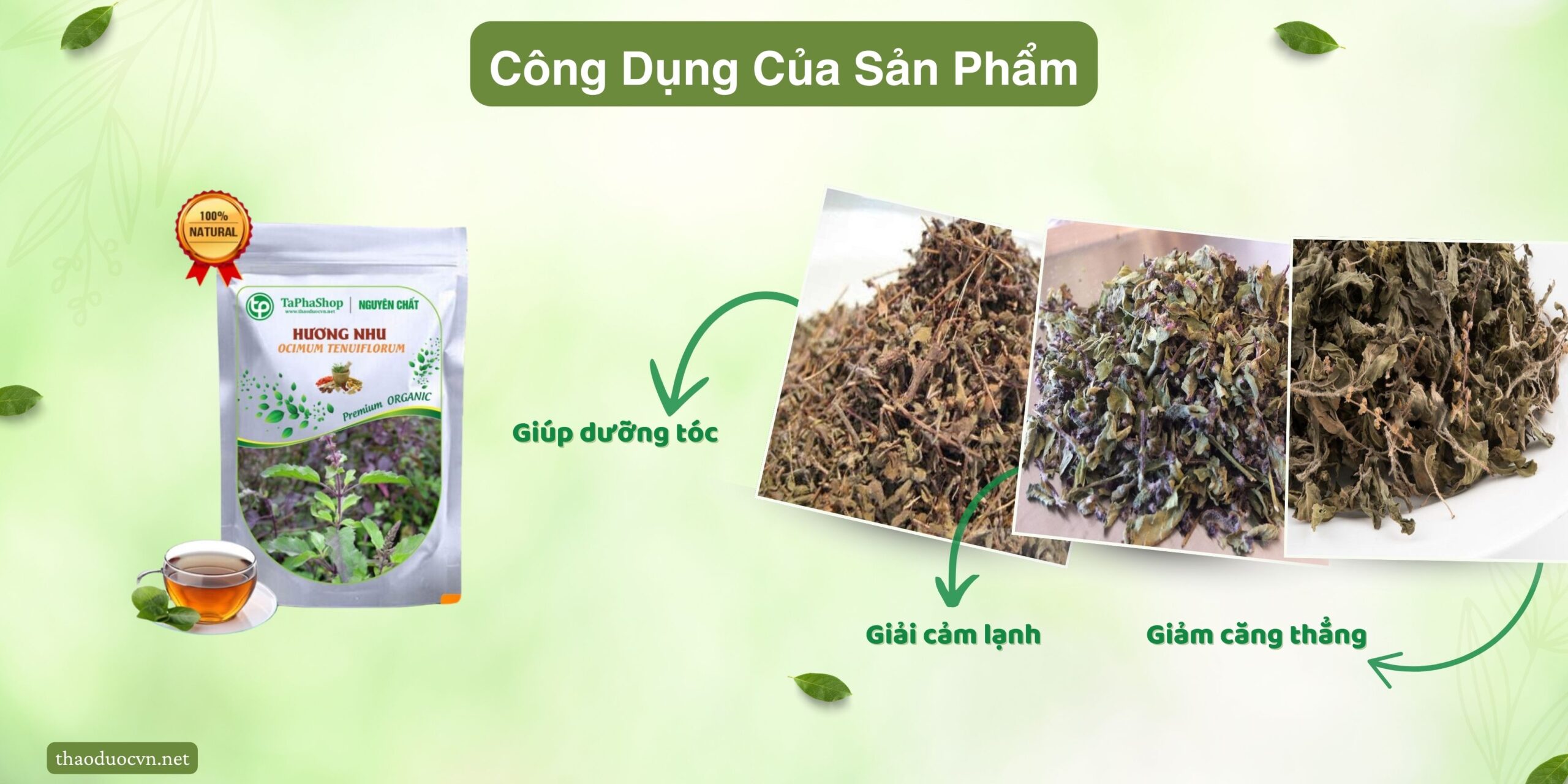 Công dụng của hương nhu giá rẻ tại Quận 5