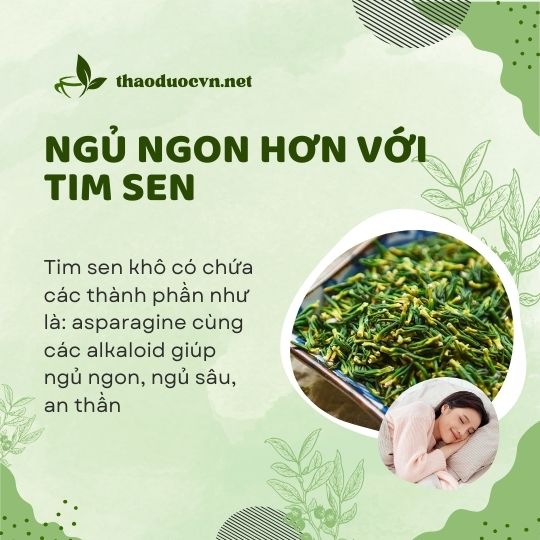 Ngủ ngon với tim sen giá rẻ tại Gò Vấp