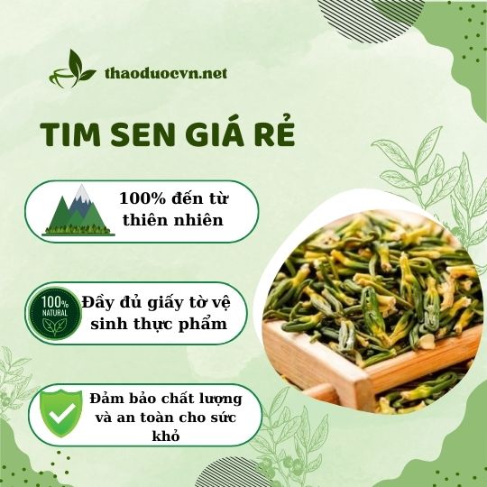 Mua tim sen giá rẻ tại Gò Vấp ở Tấn Phát