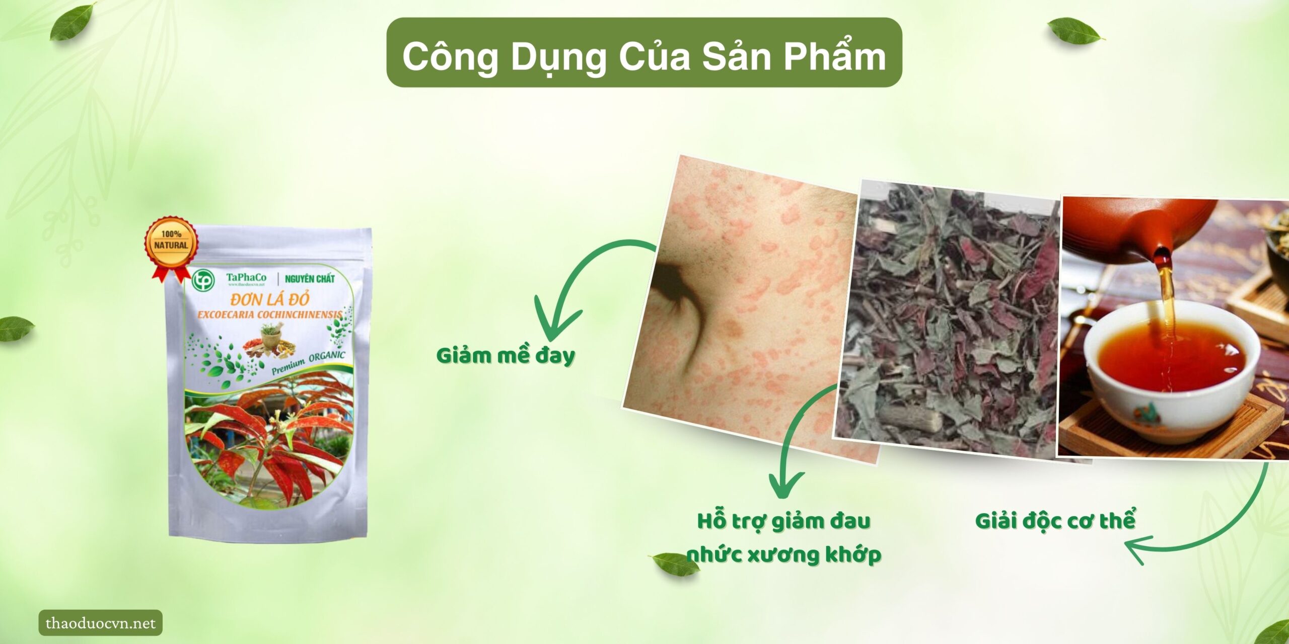 Công dụng khác của đơn lá đỏ giá rẻ tại Gò Vấp