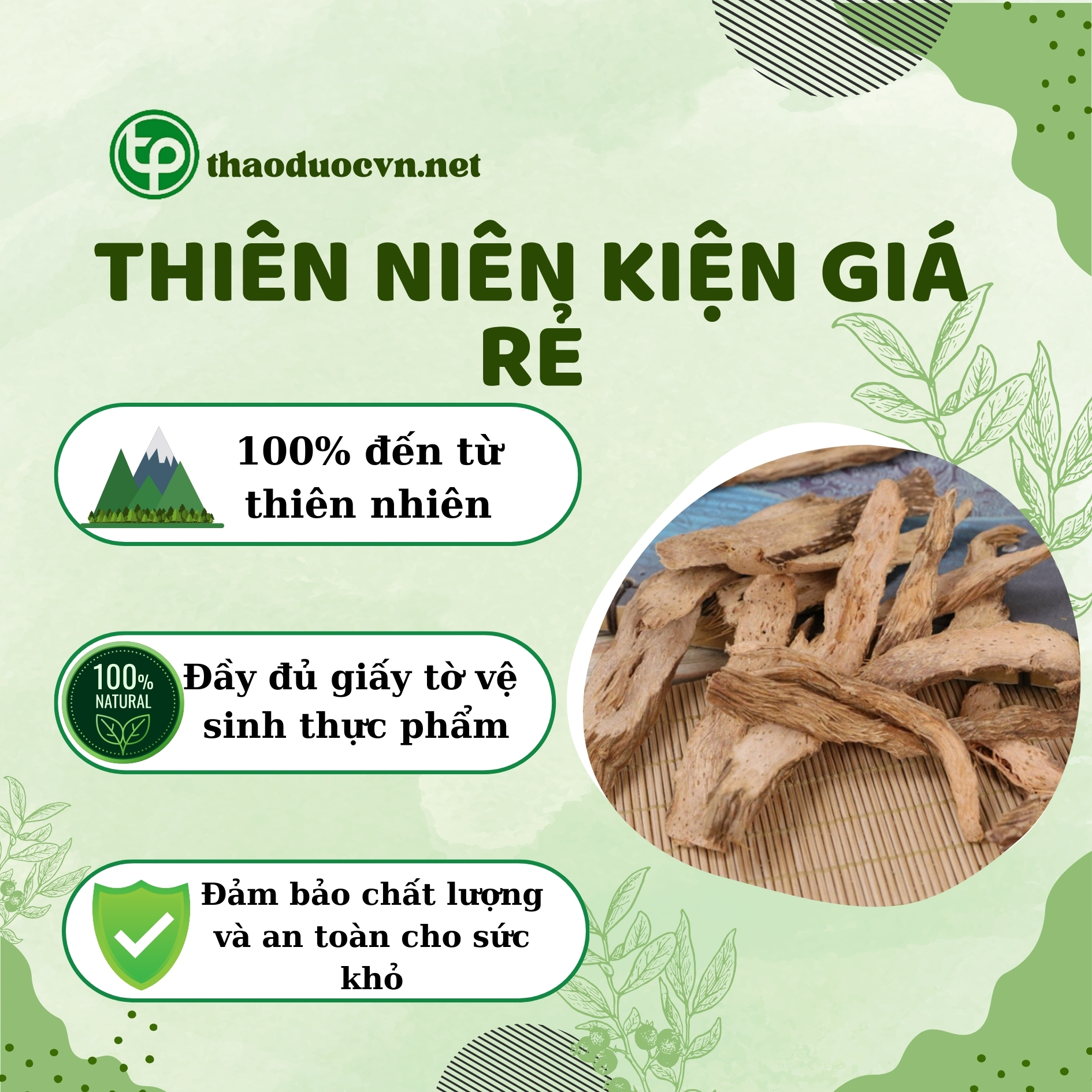 Chính sách ưu đãi khi mua thiên niên kiện giá rẻ Tấn Phát