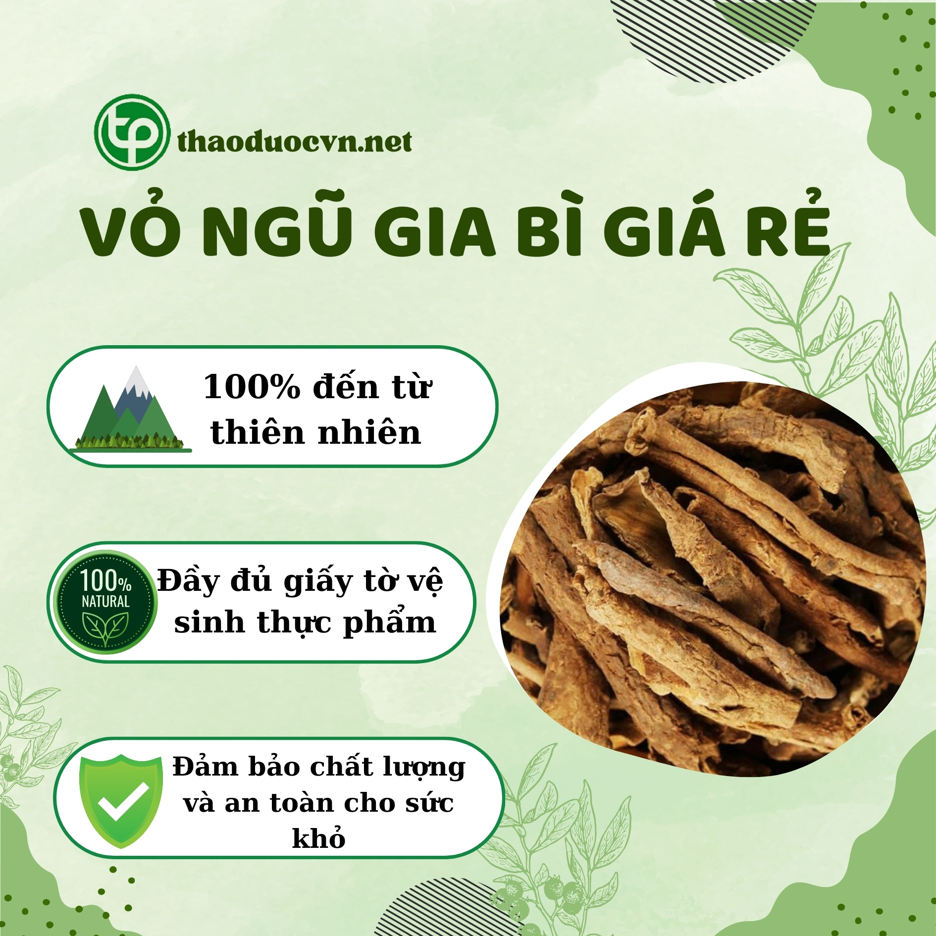 Tấn Phát là địa chỉ bán vỏ ngũ gia bì giá rẻ tại HCM uy tín