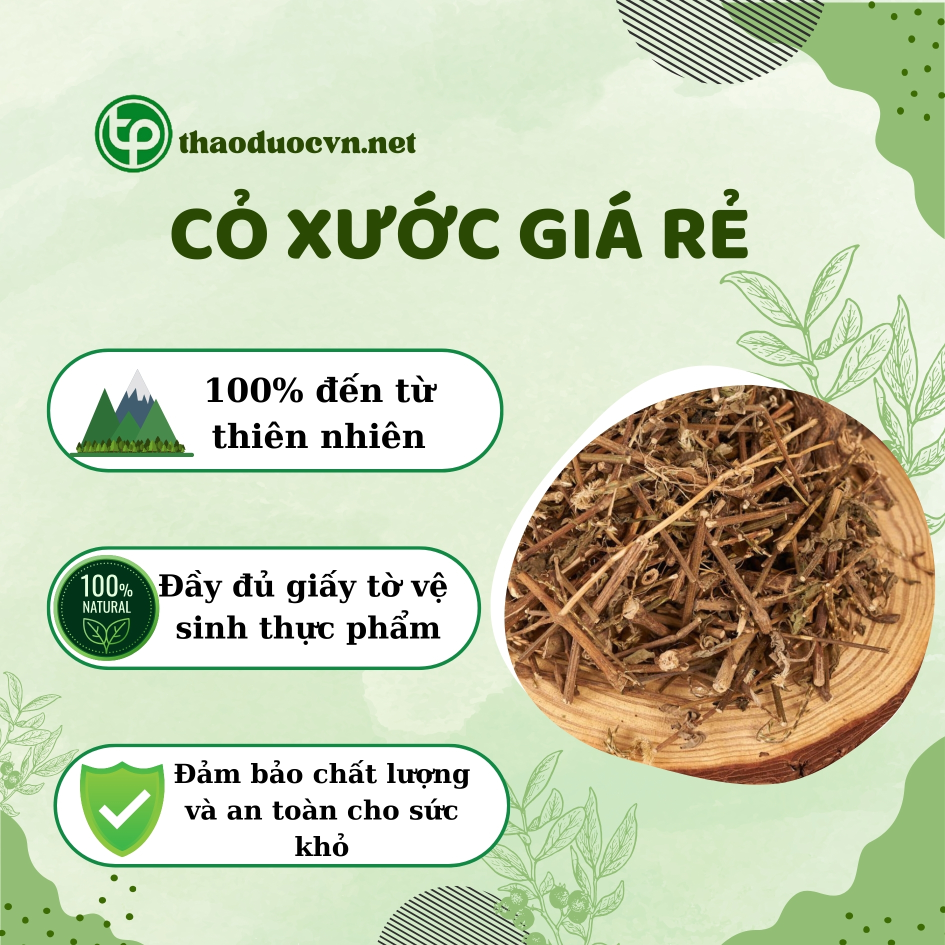 Cam kết khi mua cỏ xước giá rẻ tại Tấn Phát