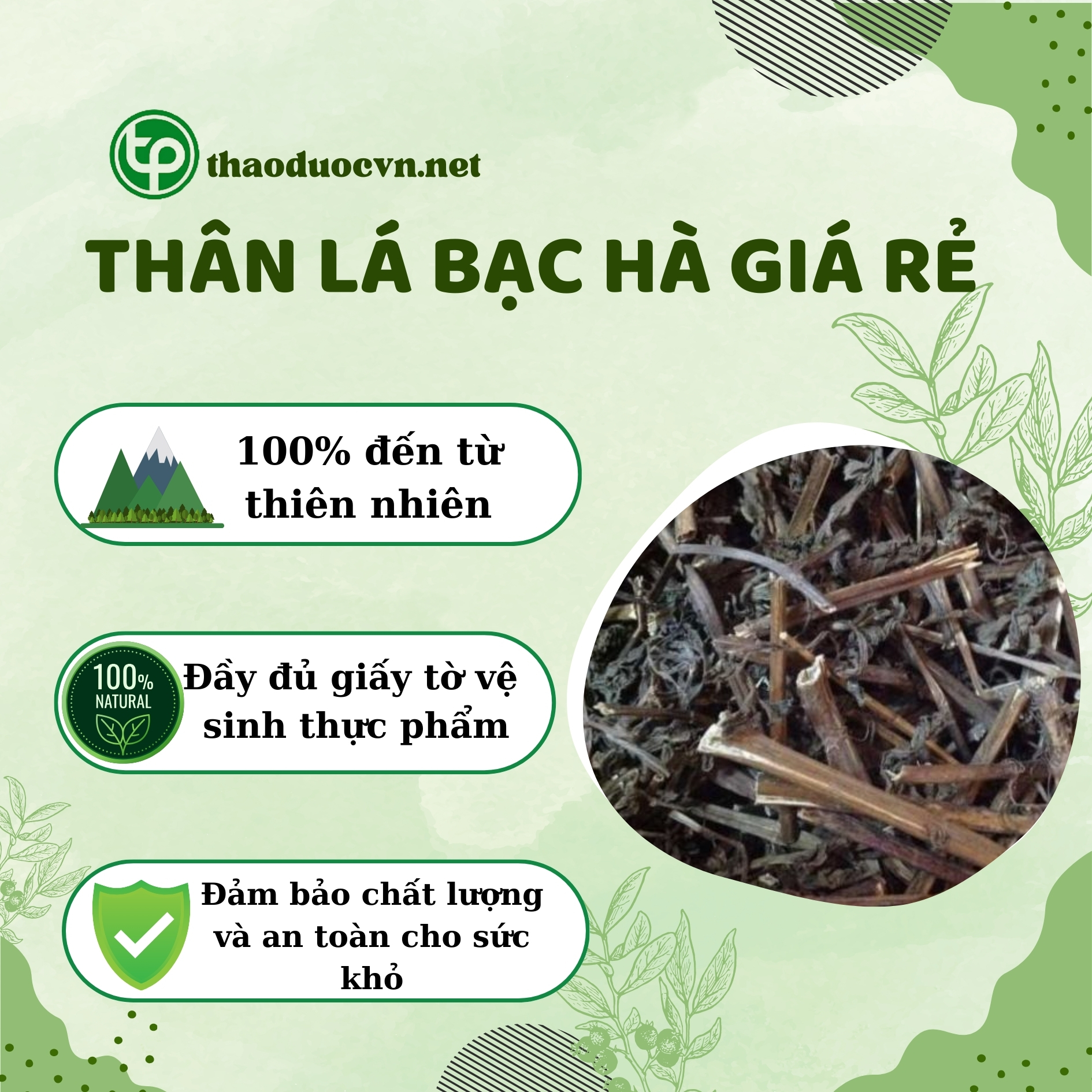 Chính sách khi mua thân lá bạc hà giá rẻ tại Tấn Phát