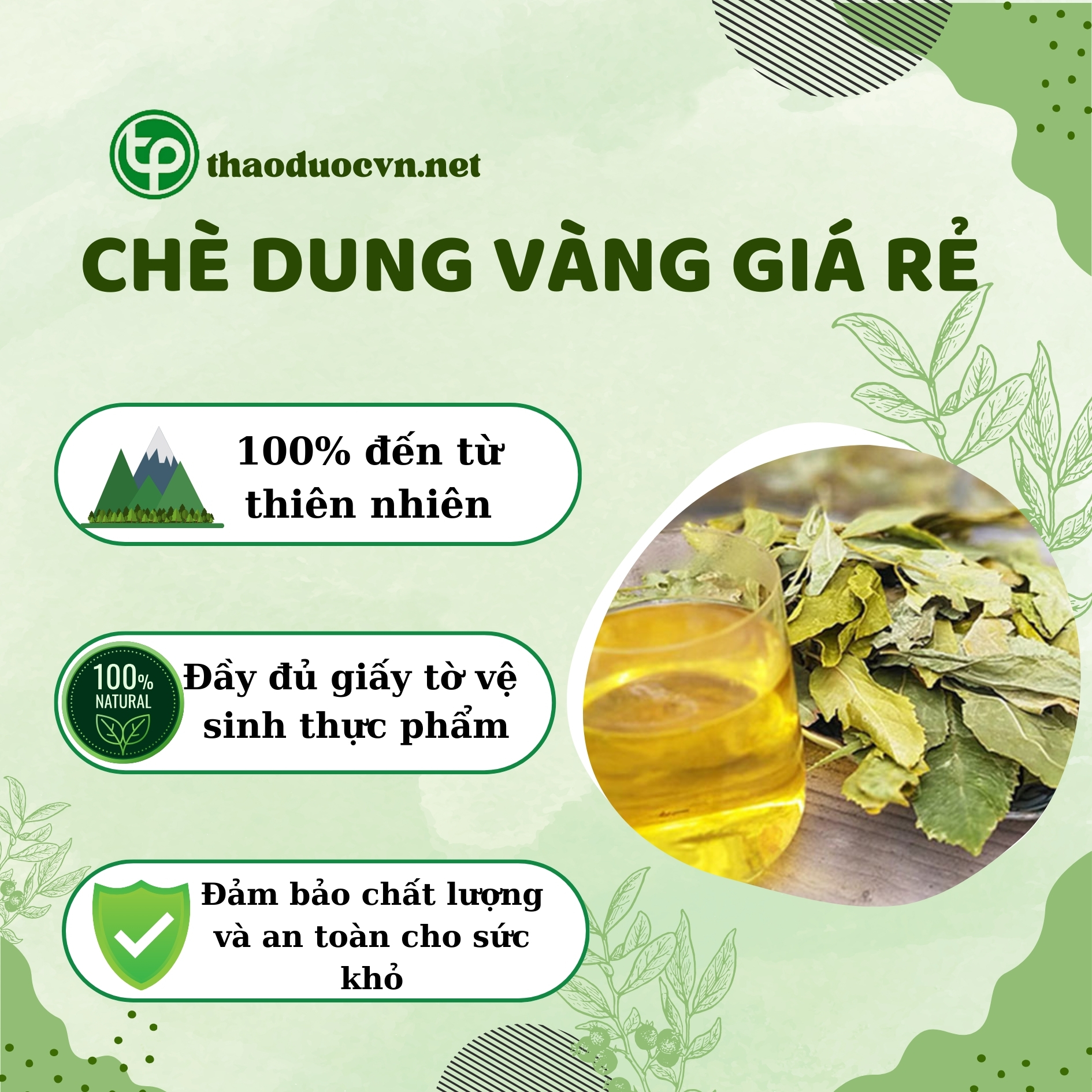 Chính sách ưu đãi khi mua chè dung vàng giá rẻ Tấn Phát