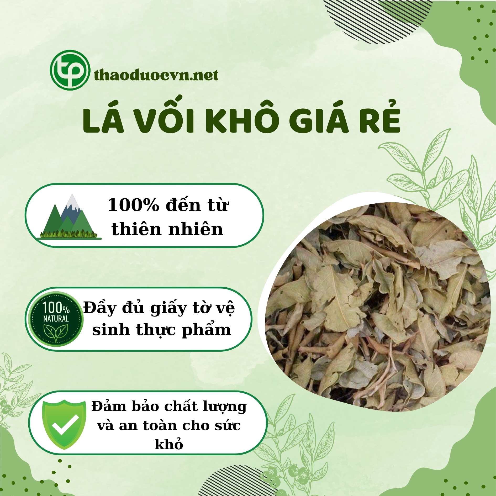 Mua ngay lá vối khô giá rẻ tại TP.HCM ở Tấn Phát