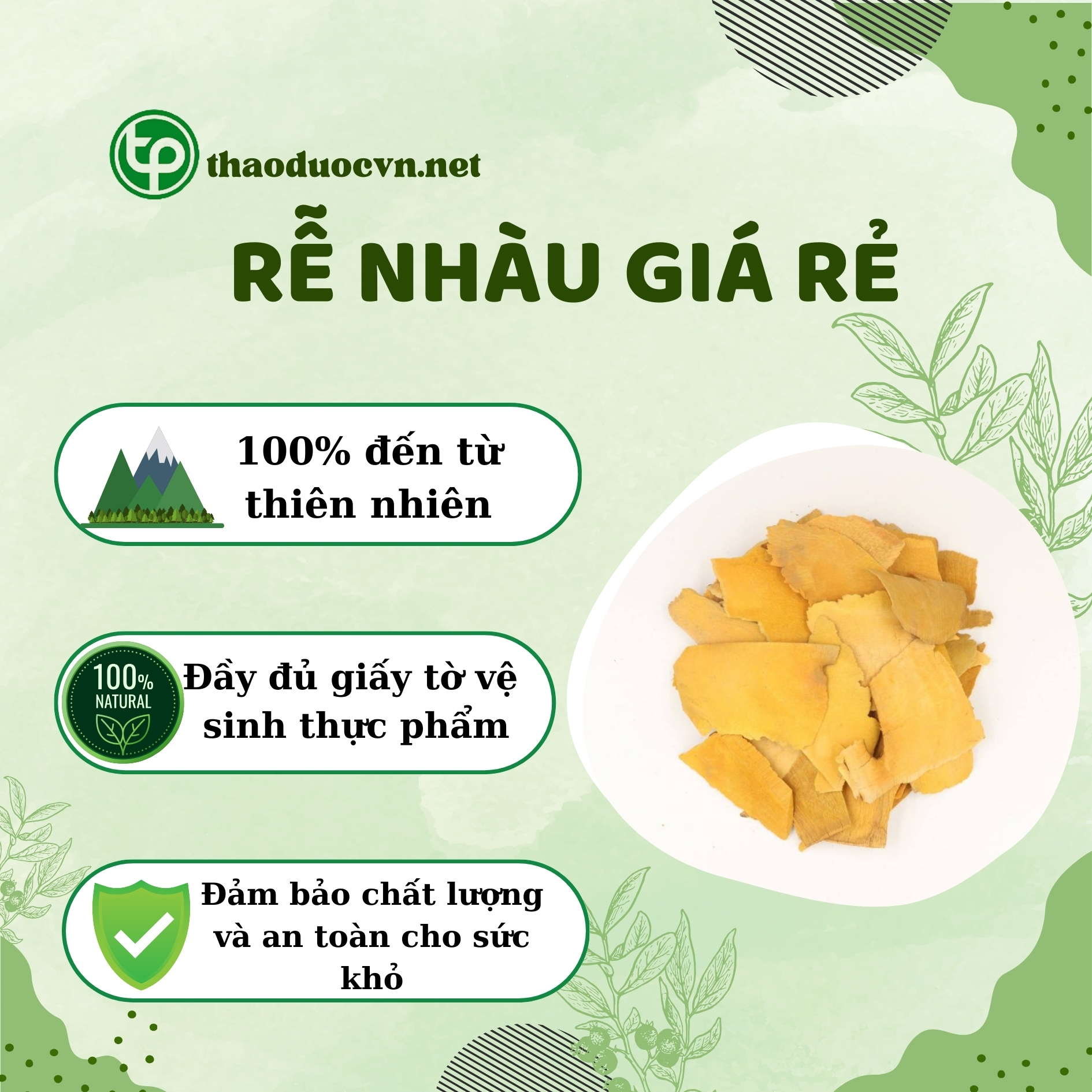 Lợi ích khi mua rễ nhàu giá rẻ tại Tấn Phát