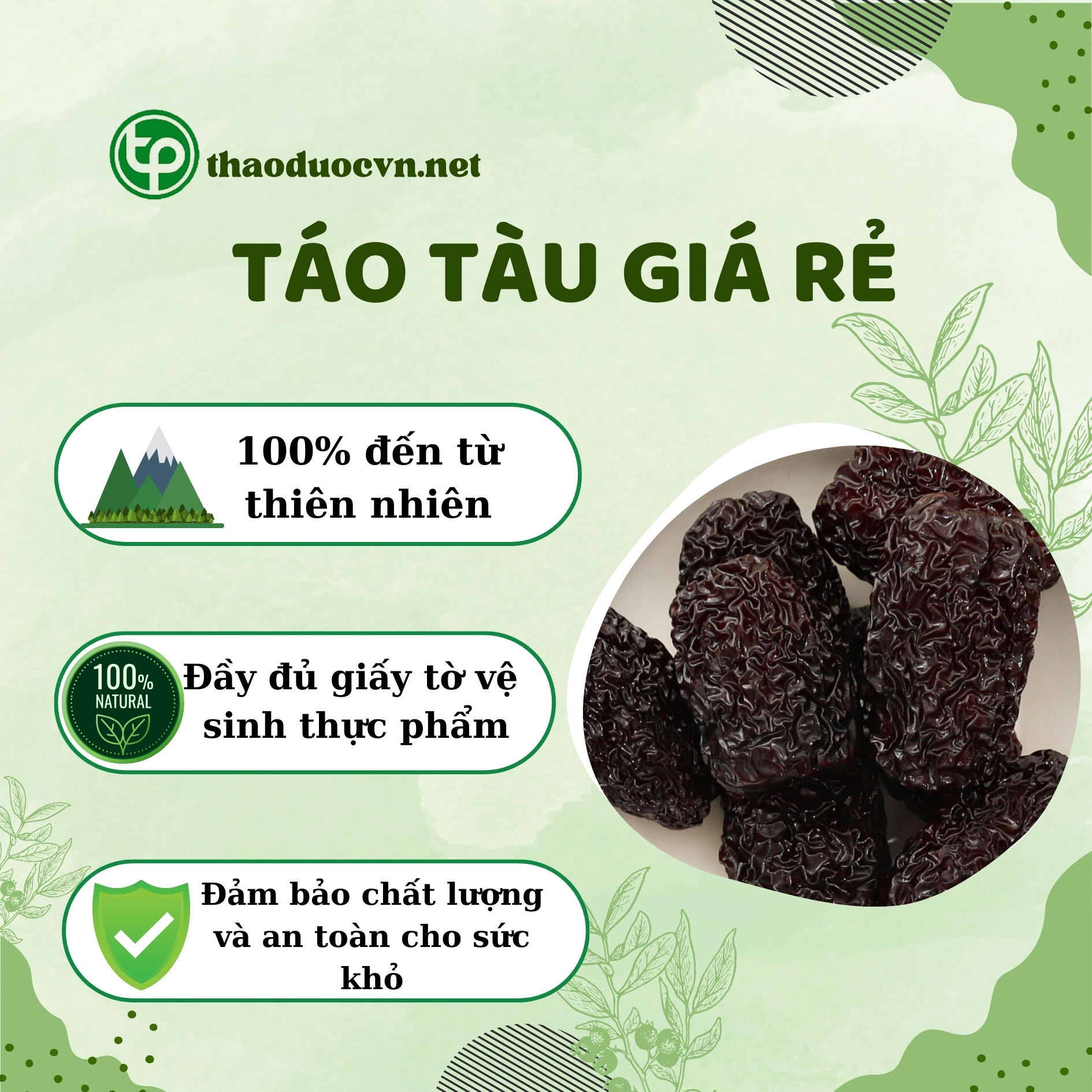 Cam kết khi mua táo tàu giá rẻ Tấn Phát
