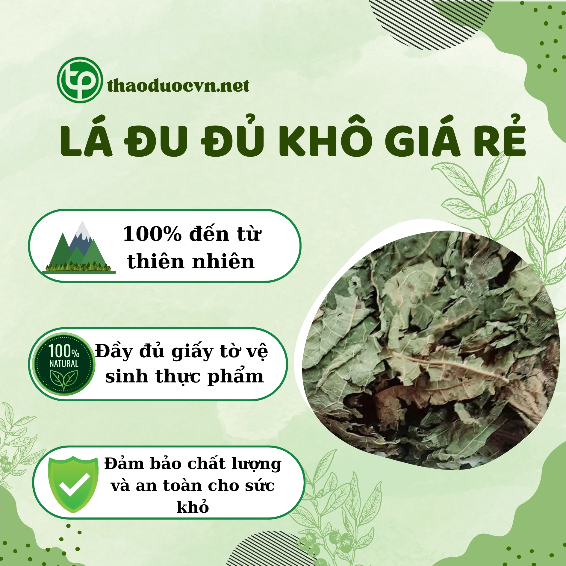 Mua ngay lá đu đủ khô giá rẻ tại HCM ở Tấn Phát