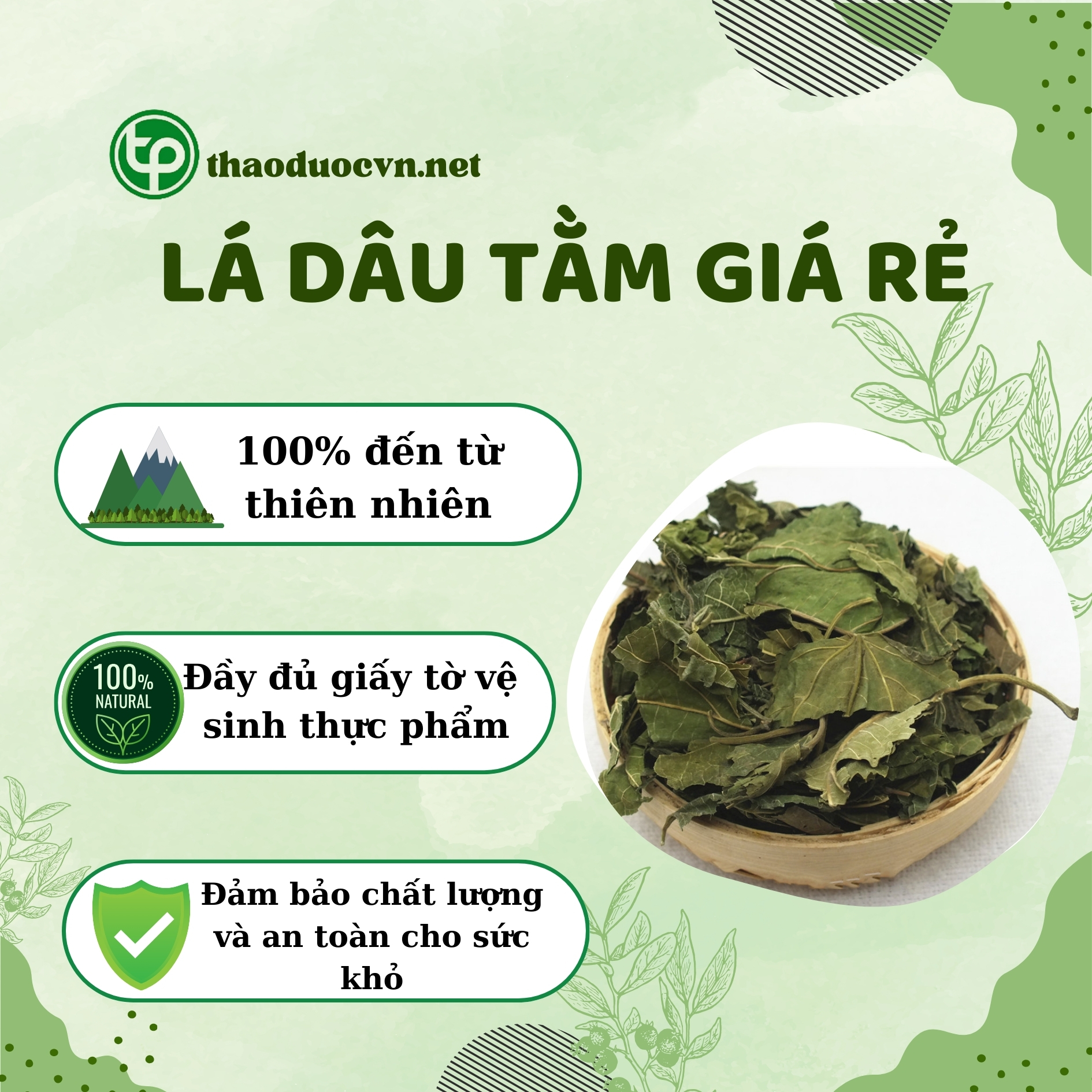 Tấn Phát là địa chỉ bán lá dâu tằm giá rẻ tại HCM