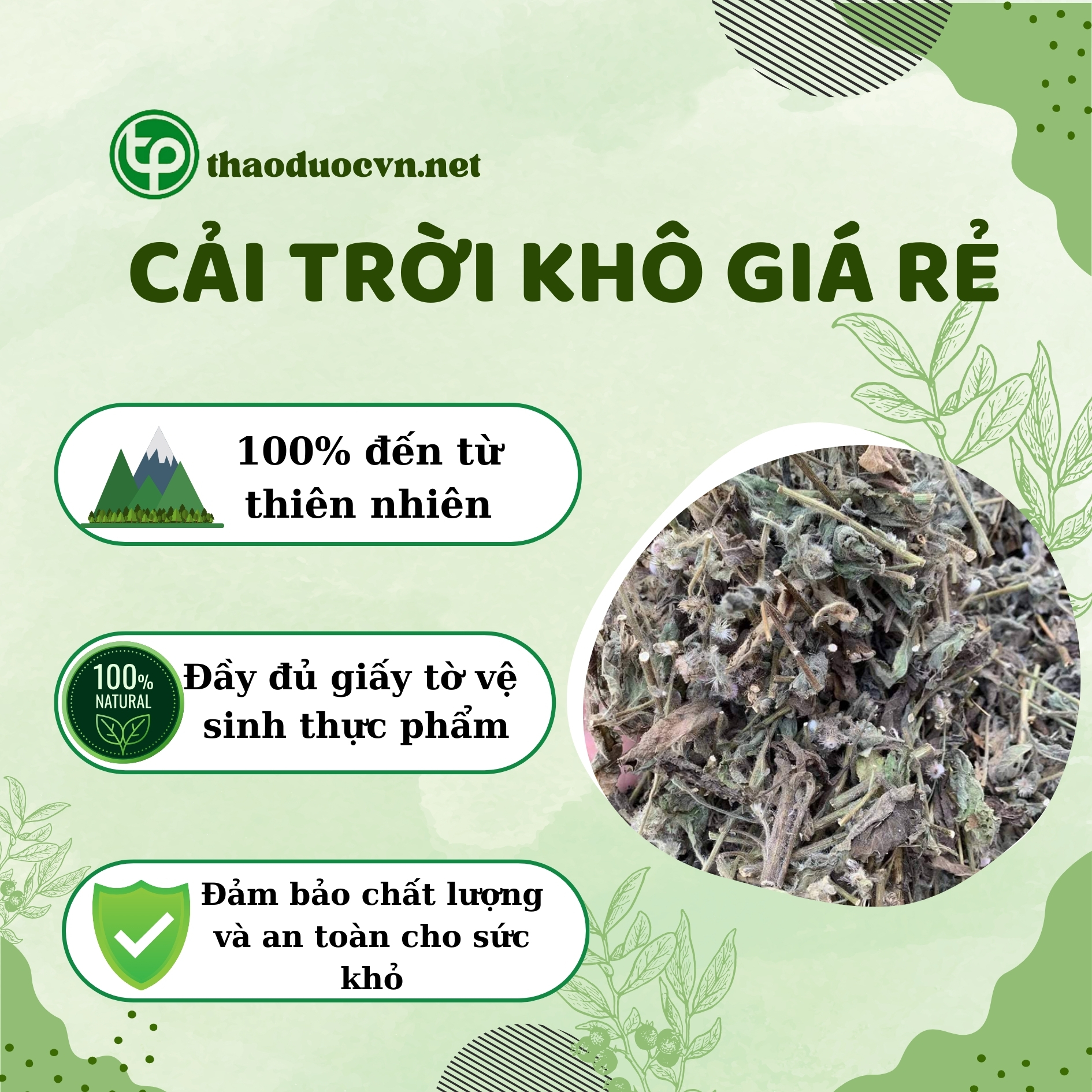 Chính sách ưu đãi khi mua cải trời khô giá rẻ Tấn Phát
