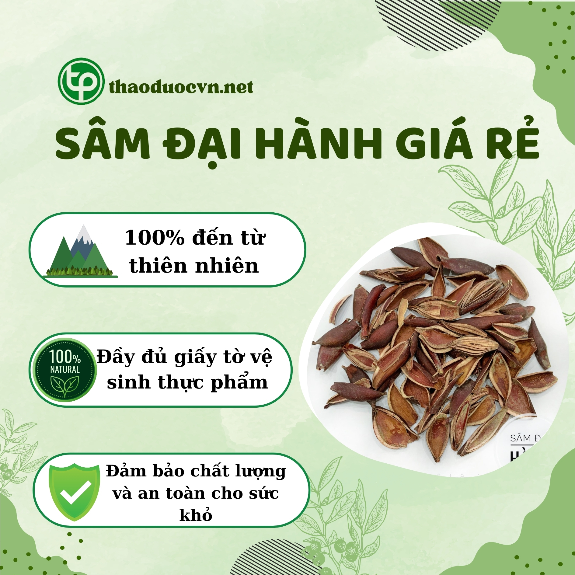 Tấn Phát là địa chỉ bán sâm đại hành giá rẻ tại HCM uy tín