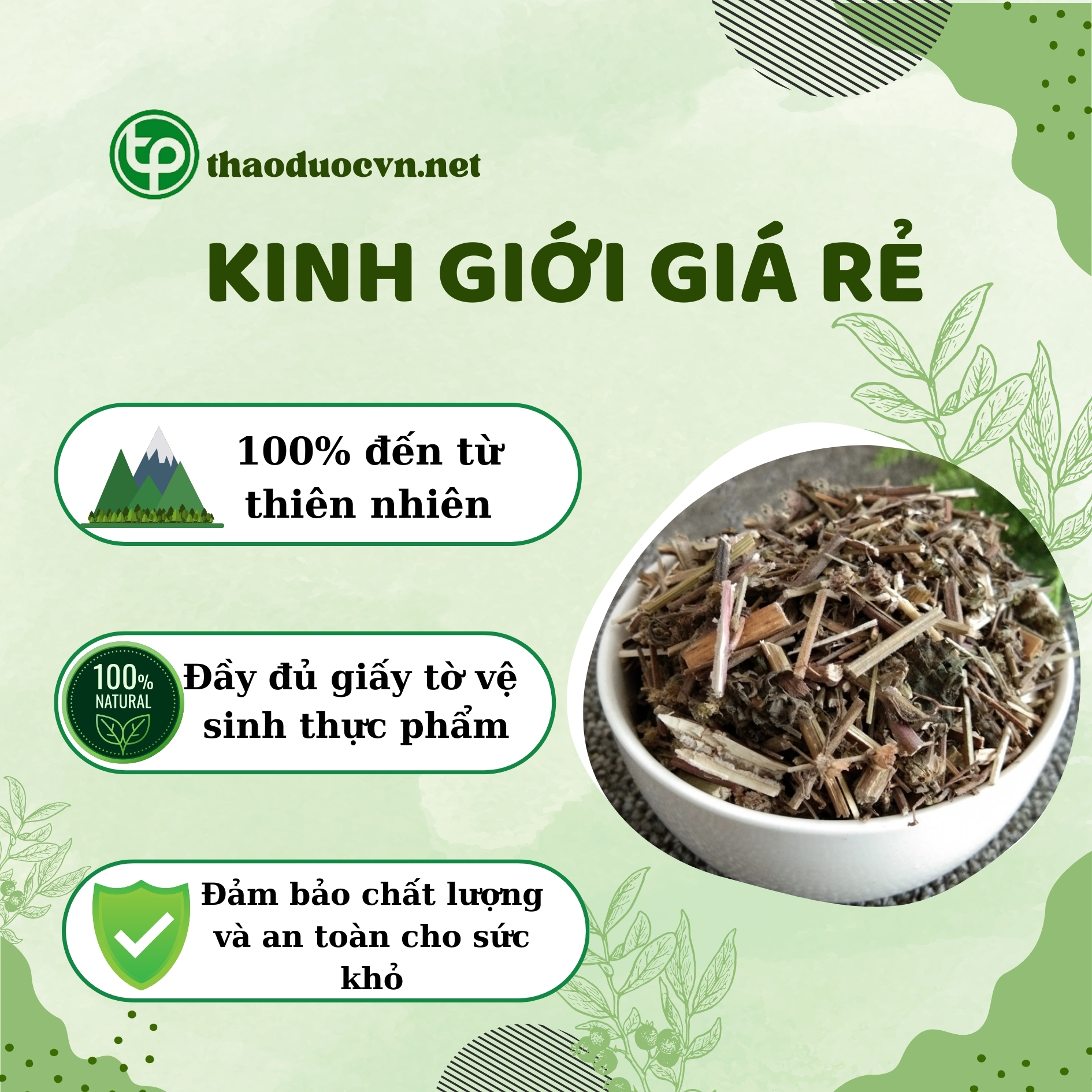 Tấn Phát là địa chỉ bán kinh giới giá rẻ tại HCM
