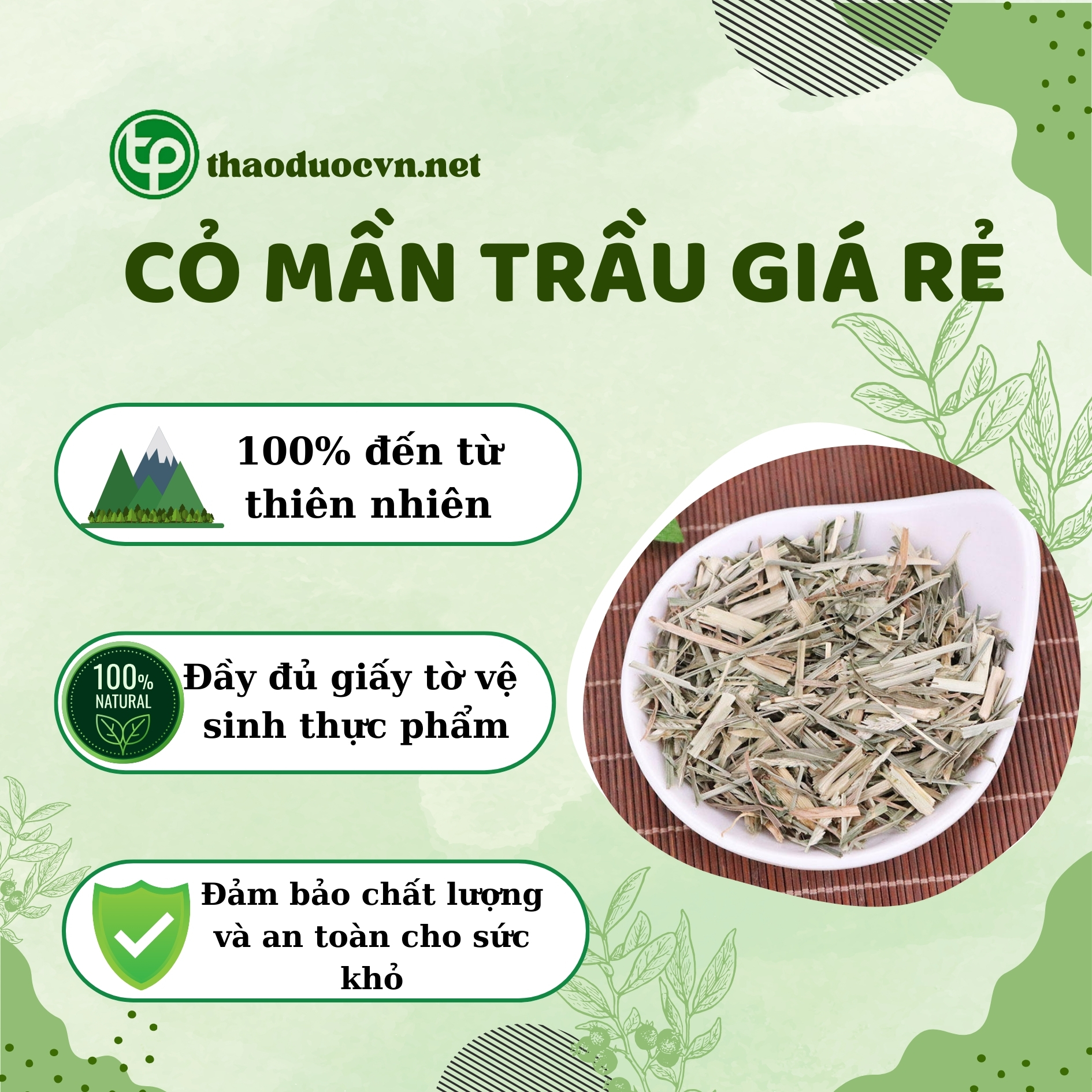 Cam kết khi mua cỏ mần trầu giá rẻ Tấn Phát